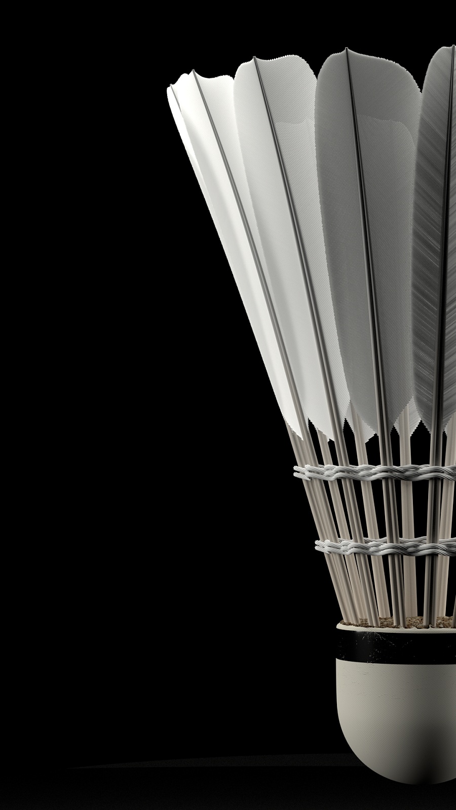 一位跨性别 一位跨性别