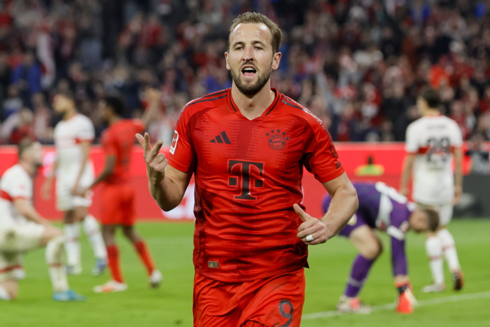 这也突显了 这也突显了